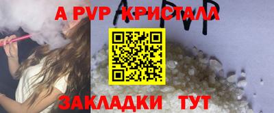 индика Можга