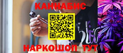индика Можга