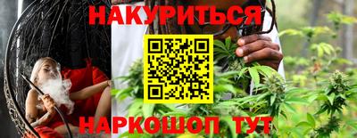 индика Можга