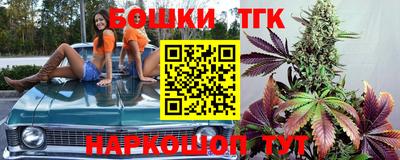 индика Можга