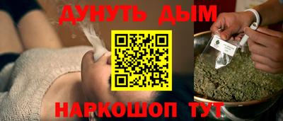 индика Можга