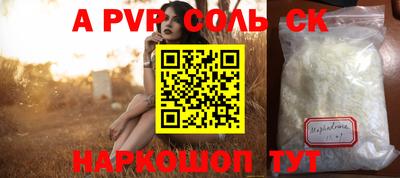 индика Можга