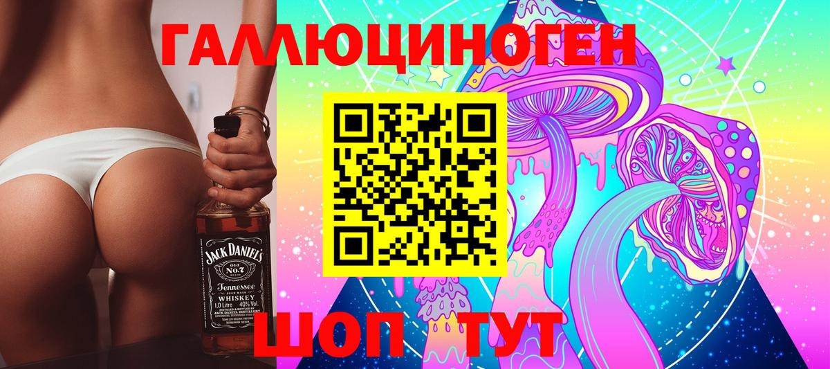 Галлюциногенные грибы Psilocybine cubensis Рыбинск