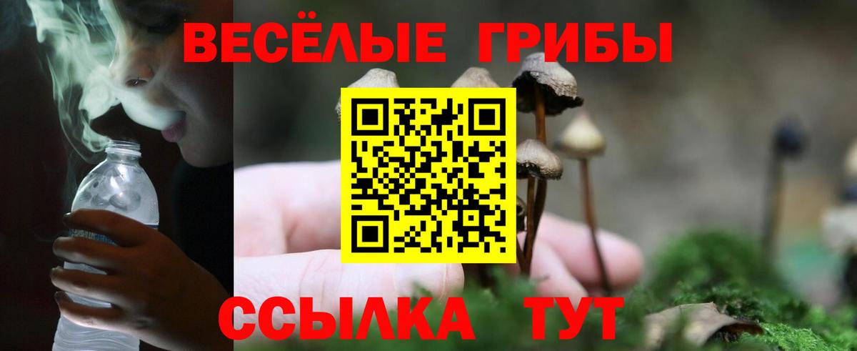 Псилоцибиновые грибы Magic Shrooms  Вход с VPN  Рыбинск 